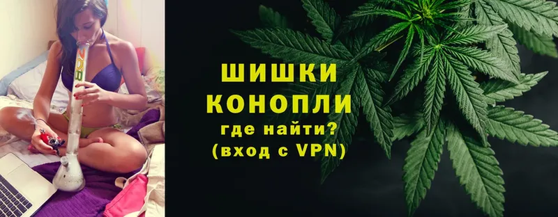 Марихуана THC 21%  Каргополь 